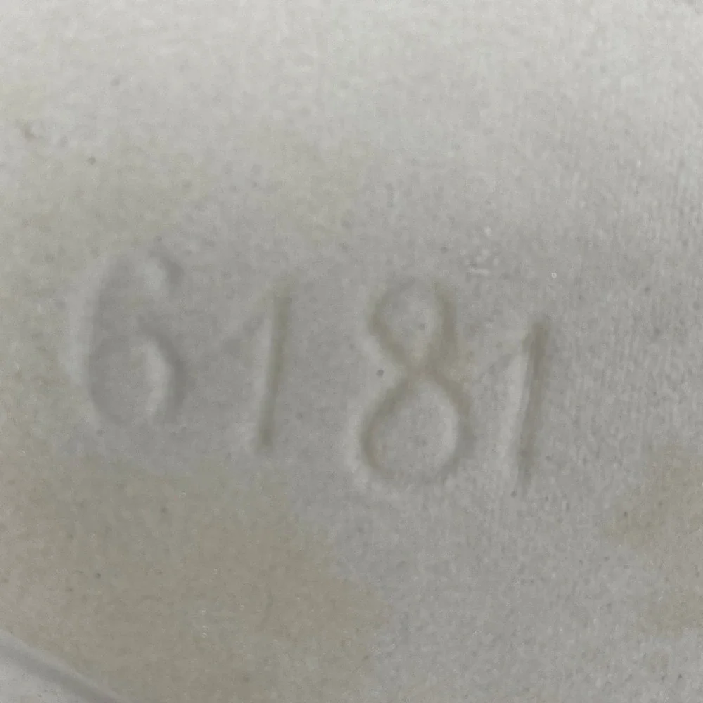 Emile Henry Red Ceramic Scalloped Pie‎ Dish 9 Inch Baking Pan 6181 France